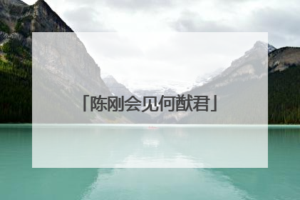 陈刚会见何猷君