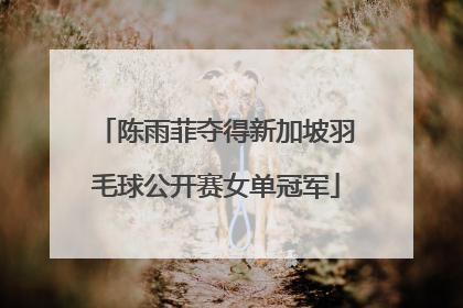 陈雨菲夺得新加坡羽毛球公开赛女单冠军