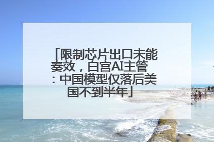 限制芯片出口未能奏效，白宫AI主管：中国模型仅落后美国不到半年