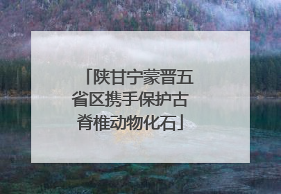 陕甘宁蒙晋五省区携手保护古脊椎动物化石