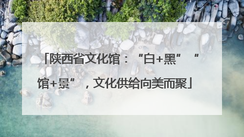 陕西省文化馆：“白+黑”“馆+景”，文化供给向美而聚