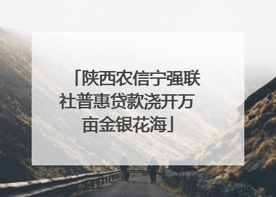 陕西农信宁强联社普惠贷款浇开万亩金银花海