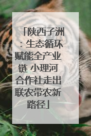 陕西子洲：生态循环赋能全产业链 小理河合作社走出联农带农新路径