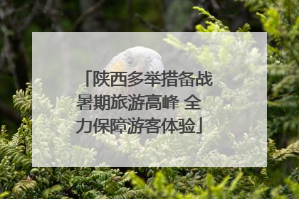 陕西多举措备战暑期旅游高峰 全力保障游客体验
