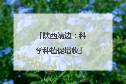 陕西靖边：科学种植促增收