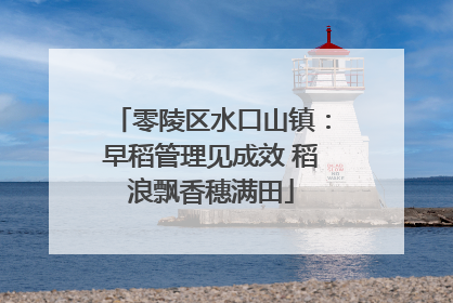 零陵区水口山镇：早稻管理见成效 稻浪飘香穗满田