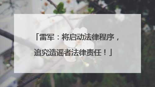 雷军：将启动法律程序，追究造谣者法律责任！