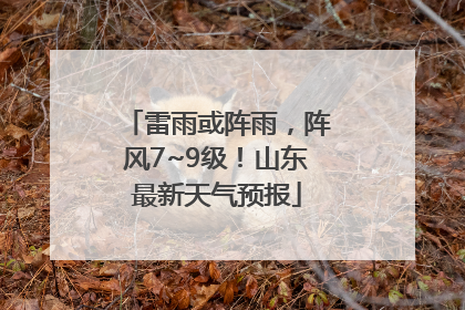 雷雨或阵雨，阵风7~9级！山东最新天气预报