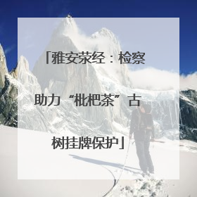 雅安荥经：检察助力“枇杷茶”古树挂牌保护
