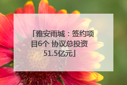 雅安雨城：签约项目6个 协议总投资51.5亿元