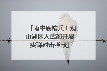雨中砺精兵！观山湖区人武部开展实弹射击考核