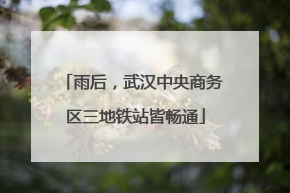 雨后，武汉中央商务区三地铁站皆畅通