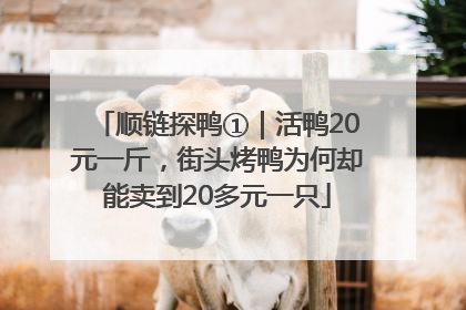 顺链探鸭①｜活鸭20元一斤，街头烤鸭为何却能卖到20多元一只