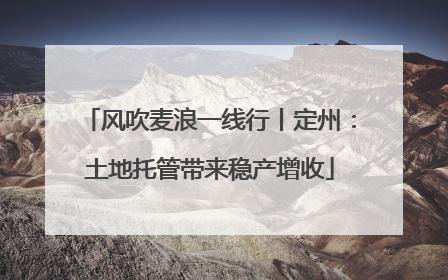 风吹麦浪一线行丨定州：土地托管带来稳产增收