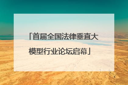 首届全国法律垂直大模型行业论坛启幕