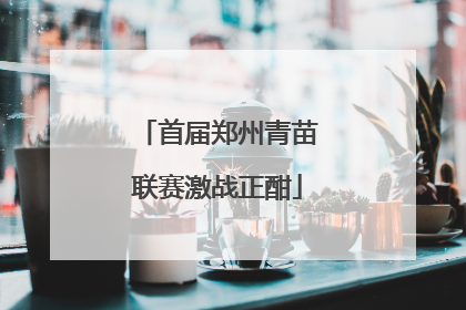 首届郑州青苗联赛激战正酣