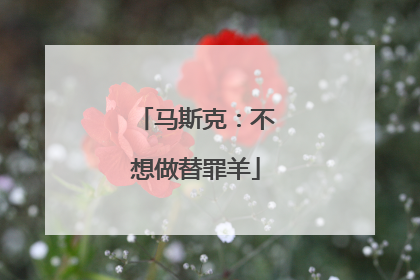 马斯克：不想做替罪羊