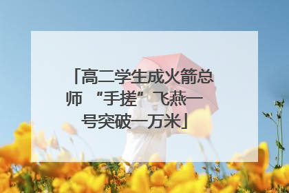 高二学生成火箭总师 “手搓”飞燕一号突破一万米