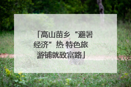 高山苗乡“避暑经济”热 特色旅游铺就致富路