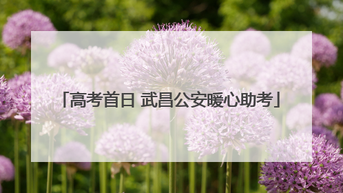 高考首日 武昌公安暖心助考