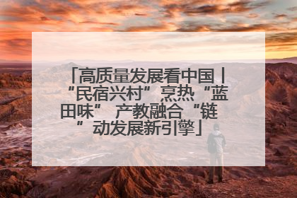 高质量发展看中国丨“民宿兴村”烹热“蓝田味” 产教融合“链”动发展新引擎