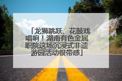 龙狮跳跃、花鼓戏唱响！湖南有色金属职院这场沉浸式非遗游园活动很带感