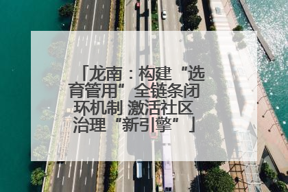 龙南：构建“选育管用”全链条闭环机制 激活社区治理“新引擎”