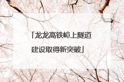 龙龙高铁嶂上隧道建设取得新突破