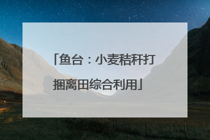 鱼台：小麦秸秆打捆离田综合利用