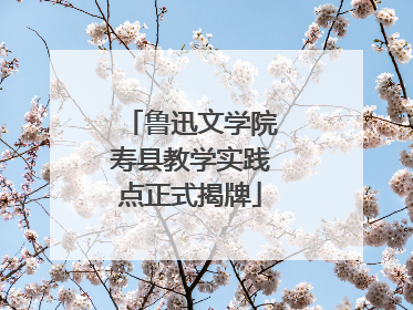 鲁迅文学院寿县教学实践点正式揭牌