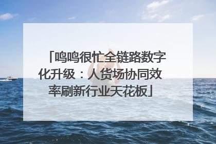 鸣鸣很忙全链路数字化升级：人货场协同效率刷新行业天花板