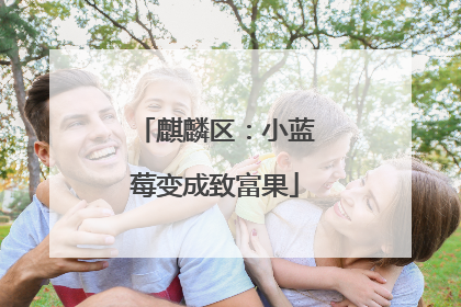 麒麟区：小蓝莓变成致富果