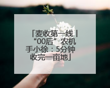 麦收第一线丨“00后”农机手小徐：5分钟收完一亩地