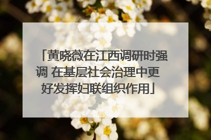 黄晓薇在江西调研时强调 在基层社会治理中更好发挥妇联组织作用