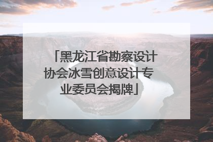 黑龙江省勘察设计协会冰雪创意设计专业委员会揭牌
