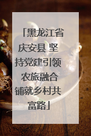 黑龙江省庆安县 坚持党建引领 农旅融合铺就乡村共富路