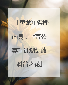 黑龙江省桦南县：“普公英”计划绽放科普之花