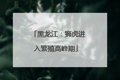 黑龙江：狮虎进入繁殖高峰期
