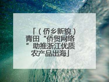（侨乡新貌）青田“侨贸网络”助推浙江优质农产品出海