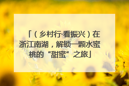 （乡村行·看振兴）在浙江南湖，解锁一颗水蜜桃的“甜蜜”之旅
