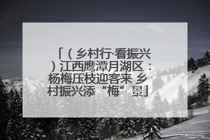 （乡村行·看振兴）江西鹰潭月湖区：杨梅压枝迎客来 乡村振兴添“梅”景
