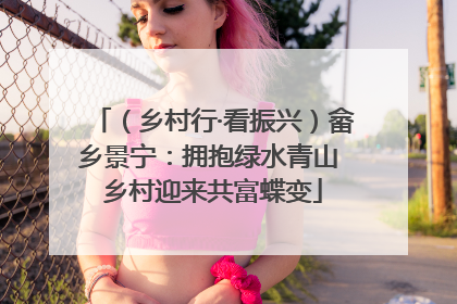 （乡村行·看振兴）畲乡景宁：拥抱绿水青山 乡村迎来共富蝶变