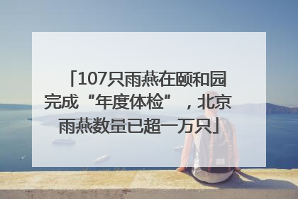 107只雨燕在颐和园完成“年度体检”，北京雨燕数量已超一万只