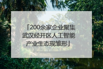 200余家企业聚集 武汉经开区人工智能产业生态现雏形