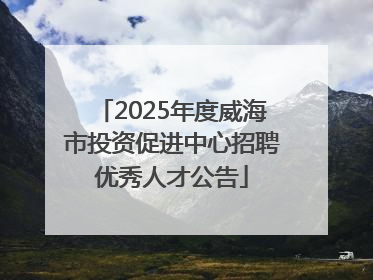 2025年度威海市投资促进中心招聘优秀人才公告