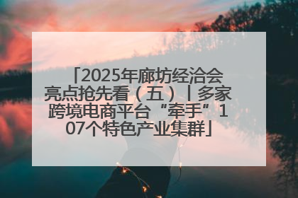 2025年廊坊经洽会亮点抢先看（五）丨多家跨境电商平台“牵手”107个特色产业集群