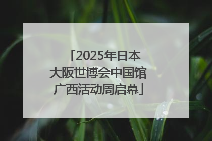 2025年日本大阪世博会中国馆广西活动周启幕