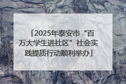 2025年泰安市“百万大学生进社区”社会实践提质行动顺利举办
