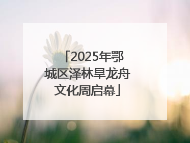 2025年鄂城区泽林旱龙舟文化周启幕