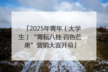 2025年青年（大学生）“青耘八桂·百色芒果”营销大赛开幕